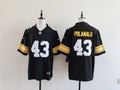 Men's Pittsburgh Steelers Troy Polamalu  Jersey -  Black -No team logo