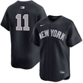 Anthony Volpe New York Yankees Alternate Road Limited Player Jersey - Navy