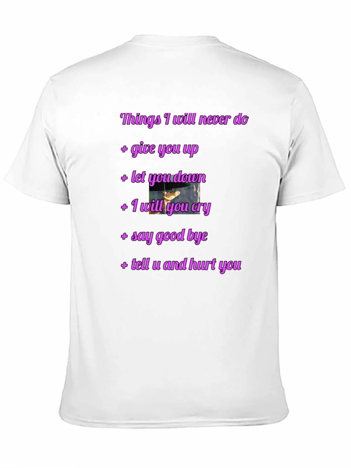 Rick Roll Never Gonna Give You Up Funny T-Shirt
