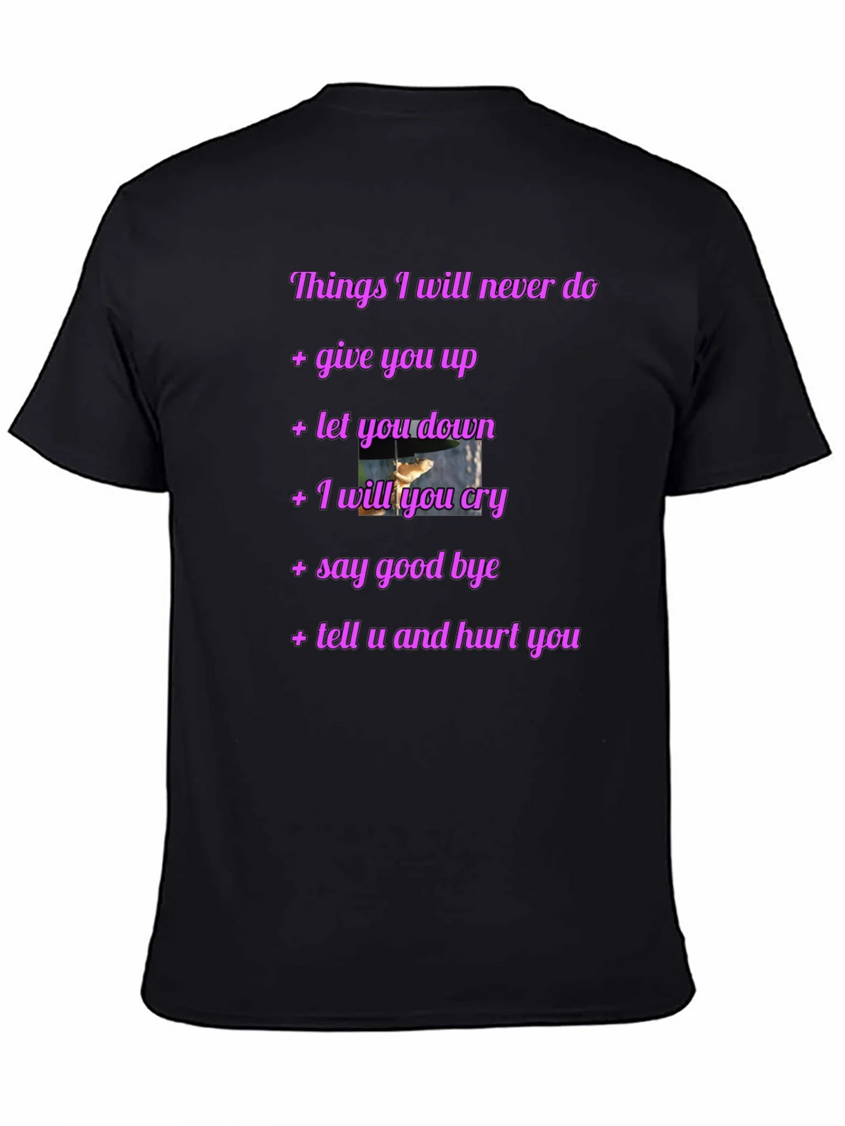 Rick Roll Never Gonna Give You Up Funny T-Shirt