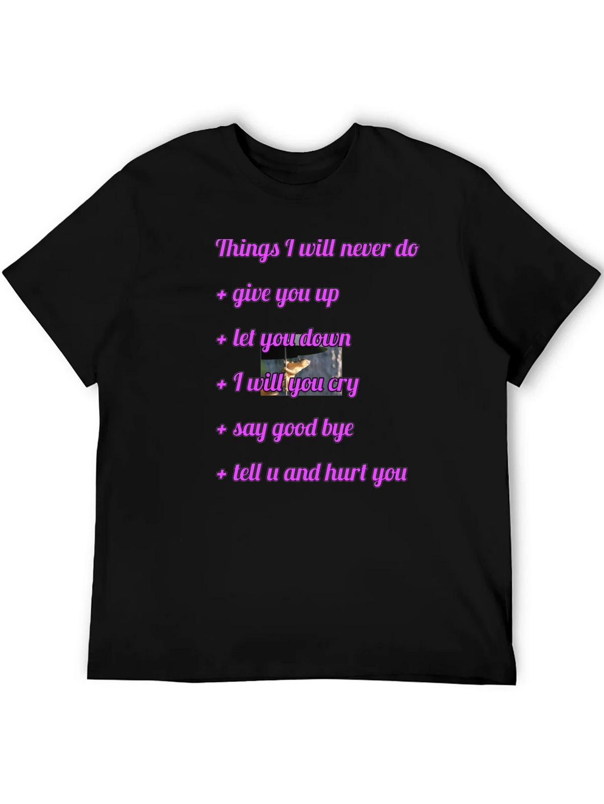 Rick Roll Never Gonna Give You Up Funny T-Shirt
